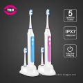 Oral Hygiene Dental Care Inductive Rechargeable Electric Toothbrush